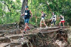 BIB: 
                            <button type="button" onclick="openModal(27718647)" class="btn btn-primary btn-sm float-right btn-popup" data-toggle="modal" data-target=".modal-high-quality">
                        <i class="fas fa-shopping-cart"></i> Add to Cart
                    </button>
                                            <button type="button" onclick="isThisMe(27718647, true)" class="btn btn-success btn-sm float-right btn-popup btn-isme hidden" data-toggle="tooltip" data-placement="bottom" title="นี่คือรูปของคุณใช่ไหม คลิกที่นี่เพื่อเอาเข้าอัลบั้ม">
                        <i class="fas fa-plus"></i> Add to album
                    </button>
                    <button type="button" onclick="isThisMe(27718647, false)" class="btn btn-warning btn-sm float-right btn-popup btn-isnotme hidden">
                        <i class="fas fa-ban"></i> Remove from album
                    </button>